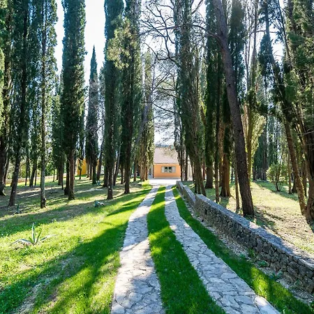 Villa Agava, Konavle