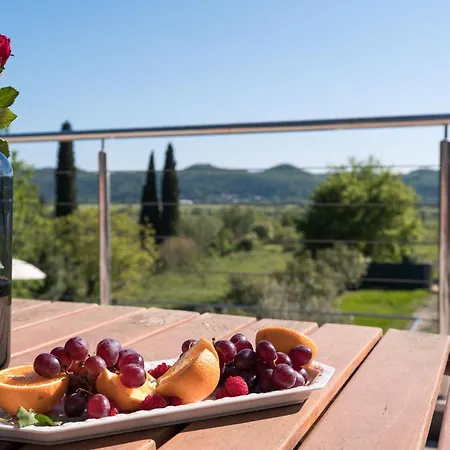 Villa Agava, Konavle *