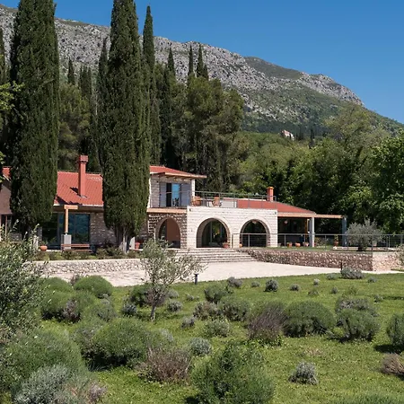 Agava, Konavle Gruda